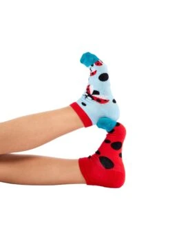 Devant -Le Bar à Chaussettes 2 e05b6ba0 691e 4831 bcf9 f0e3050ff7e7