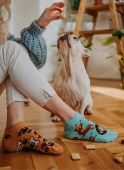 Socquettes Teckel -Le Bar à Chaussettes 8 255ef1d8 bed2 408a b324 2d5797d0a9ee