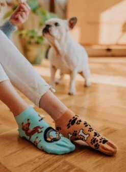 Socquettes Teckel -Le Bar à Chaussettes 9 2ceac881 e240 4863 a1ab d208919f8bf7