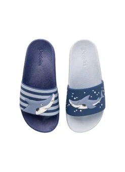 Claquettes Enfants Requins Gris -Le Bar à Chaussettes D K F SD 02 C PVC 1412 VFB 2