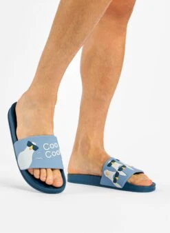 Claquettes Pigeons Sympathiques -Le Bar à Chaussettes D U F SD 02 C PVC 2147 VFB 5