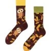 Chaussettes Hibou Curieux
