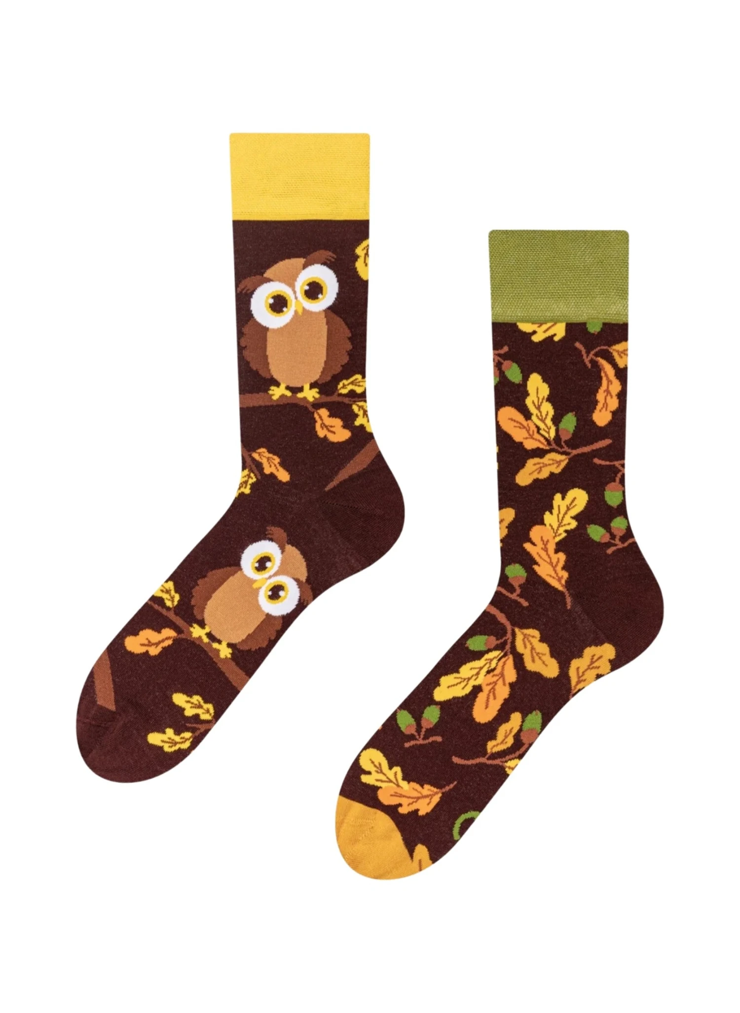 Chaussettes Hibou Curieux 1 Chaussettes Hibou Curieux