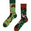 Chaussettes Panda Roux -Le Bar à Chaussettes D U SC RS C C 1751 1