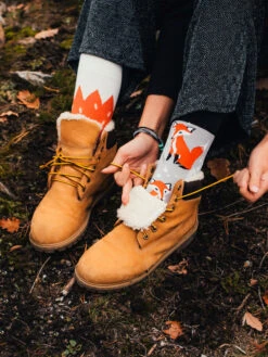 Chaussettes Renards -Le Bar à Chaussettes GMRS013 04