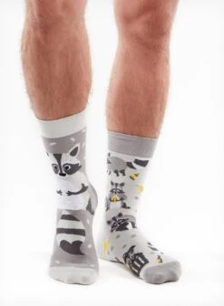 Chaussettes Raton Laveur -Le Bar à Chaussettes GMRS179 2