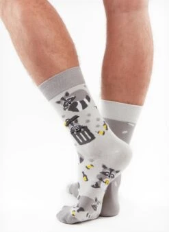Chaussettes Raton Laveur -Le Bar à Chaussettes GMRS179 3