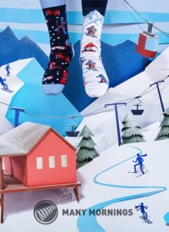 Chaussettes Ski Alpin -Le Bar à Chaussettes MM AlpineSki Regular VFB 2