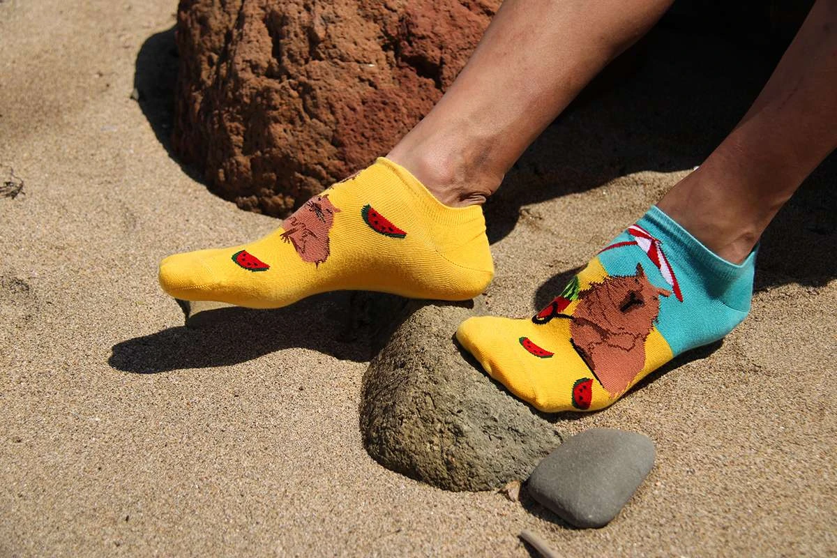 Socquettes Arty Georges Le Capybara à La Plage 4 Socquettes Arty Georges Le Capybara à La Plage – Image 4