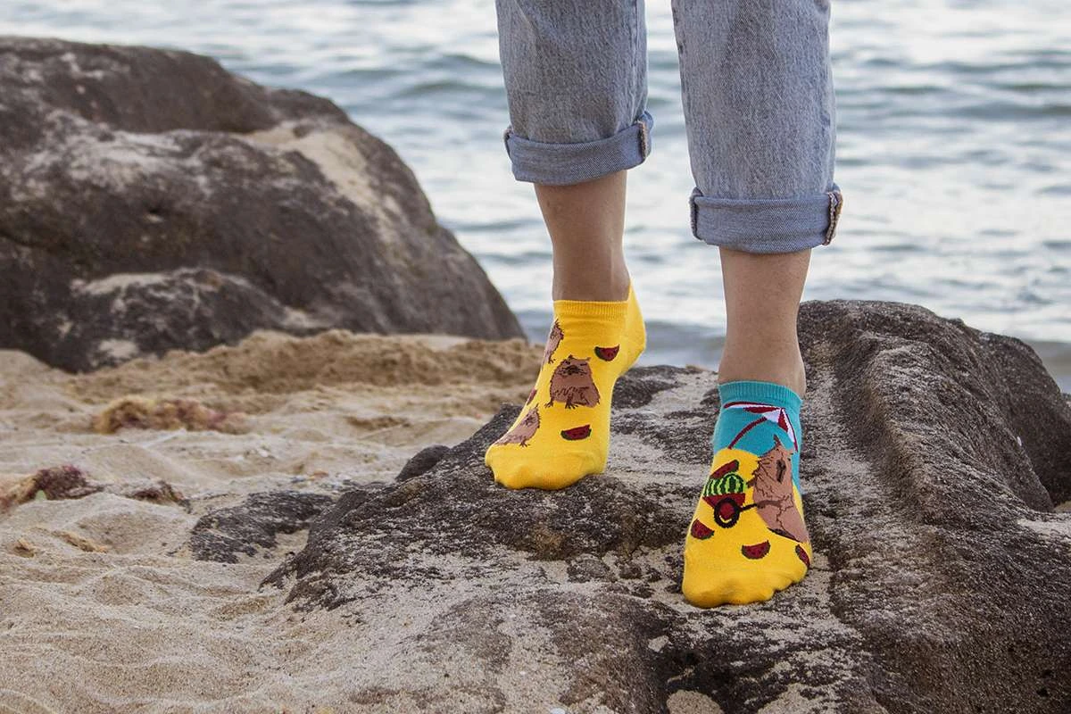 Socquettes Arty Georges Le Capybara à La Plage 7 Socquettes Arty Georges Le Capybara à La Plage – Image 7