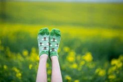 Socquettes En Bambou Abeilles - Vertes -Le Bar à Chaussettes PH06 010 3