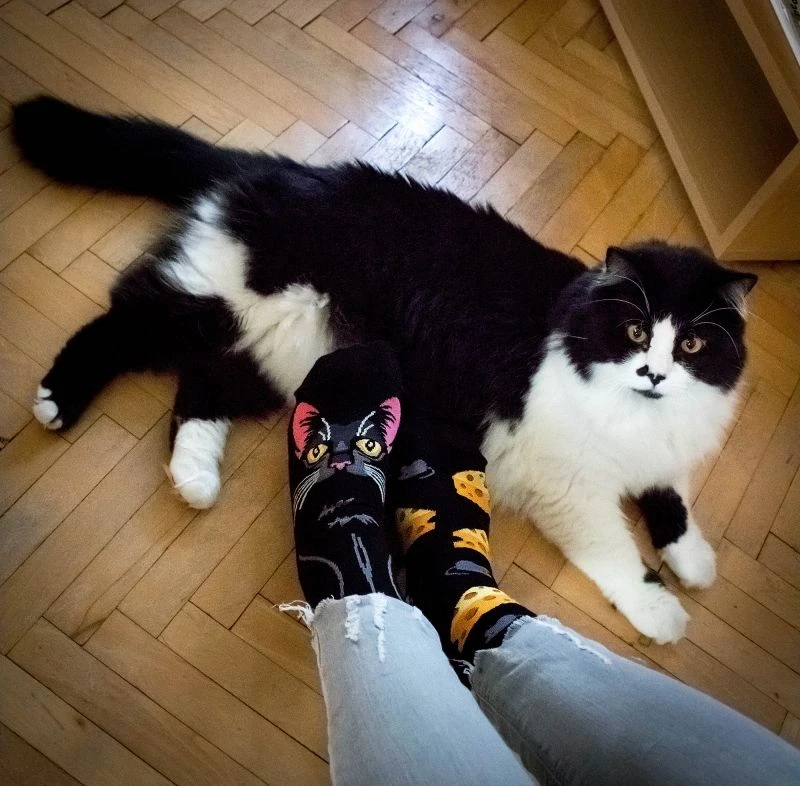 Chaussettes Arty Chanceux Le Chat 3 Chaussettes Arty Chanceux Le Chat – Image 3
