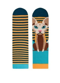 Chaussettes Arty Sphynx Le Chat -Le Bar à Chaussettes PH14 022 VFB 2