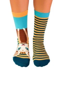 Coffret De 4 Paires De Chaussettes Arty Chats -Le Bar à Chaussettes PH14 022 VFB