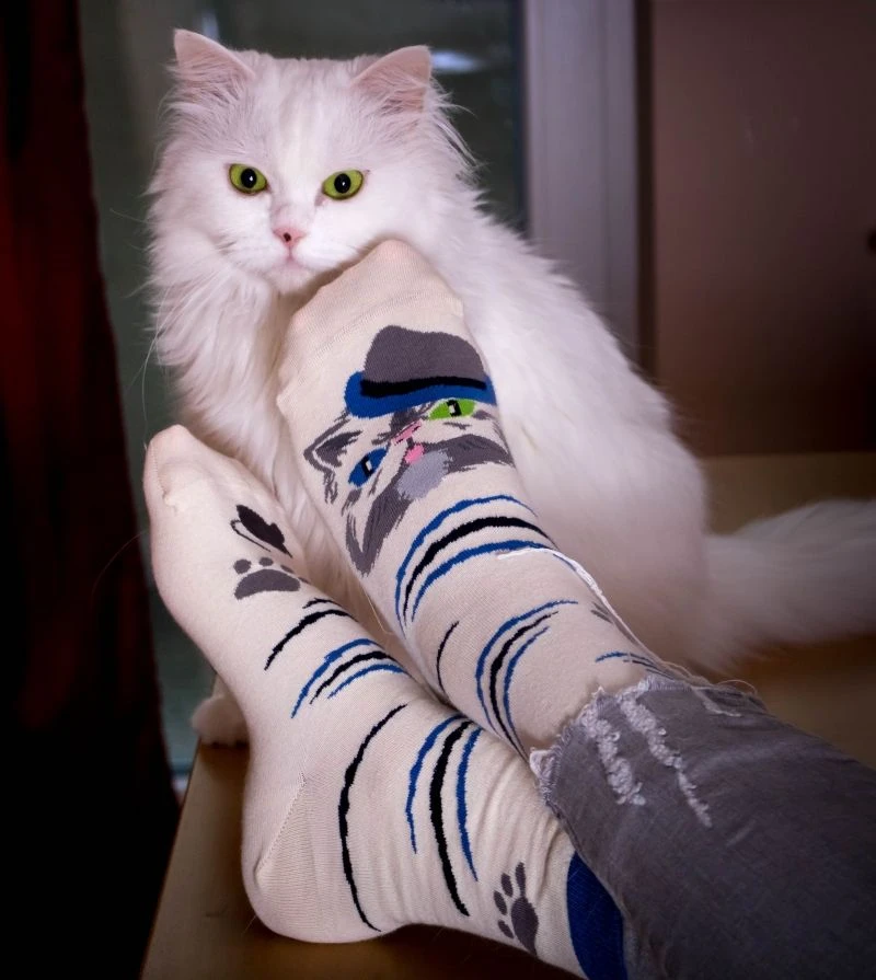 Chaussettes Arty Persan Le Chat 3 Chaussettes Arty Persan Le Chat – Image 3