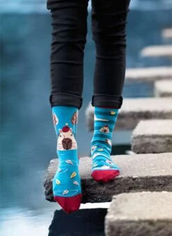 Chaussettes Arty Georges Le Capybara - Turquoise -Le Bar à Chaussettes PH14 082 V 3