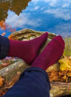 Chaussettes En Bambou Unies Bordeaux -Le Bar à Chaussettes PH15 103