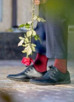 Chaussettes Laine Mérinos & Coton Bordeaux -Le Bar à Chaussettes PH17 243 3