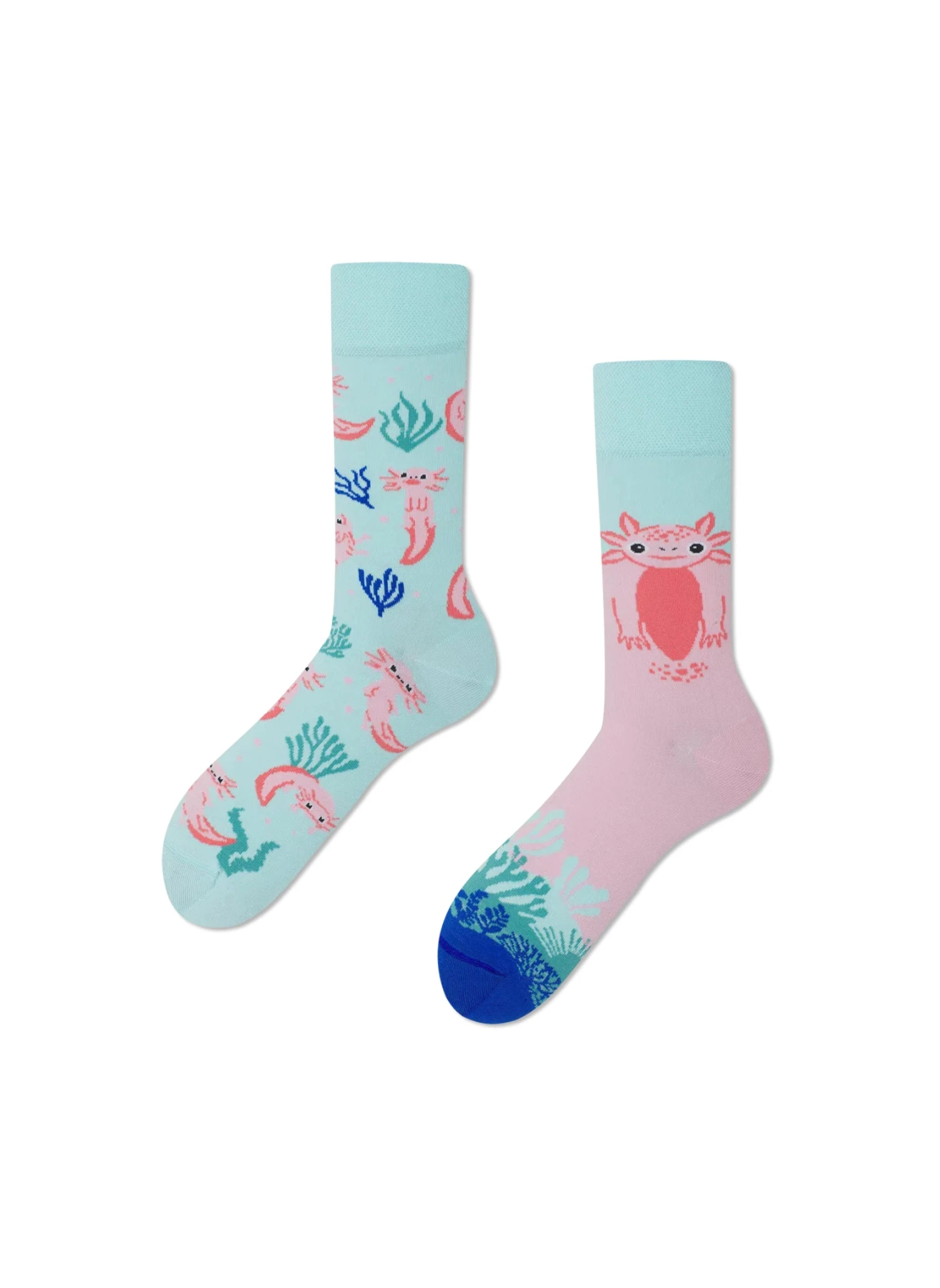 Chaussettes Axolotls 1 Chaussettes Axolotls