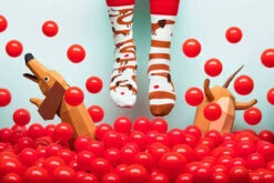 Chaussettes Teckel Saucisse -Le Bar à Chaussettes R70 3