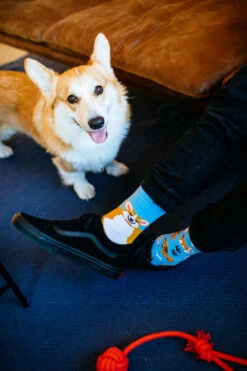 Chaussettes Corgi Joueur -Le Bar à Chaussettes R92 3