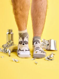 Socquettes Raton Laveur -Le Bar à Chaussettes Racoon 1