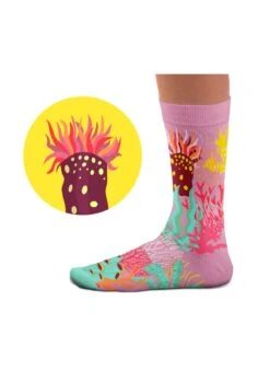 Chaussettes Coraux 5 Chaussettes Coraux -Le Bar à Chaussettes SC Corals Socks VFB 3