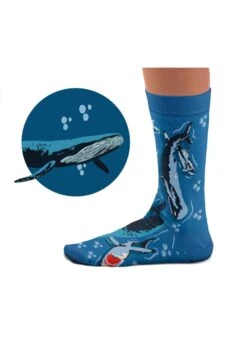 Chaussettes Prédateurs Des Mers -Le Bar à Chaussettes SC Predators Socks VFB 3