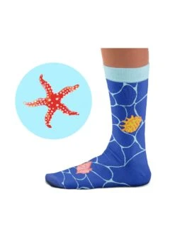 Chaussettes Coquillages 5 Chaussettes Coquillages -Le Bar à Chaussettes SC Shells Socks VFB 3