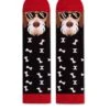 Chaussettes Arty Fox Terrier