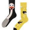 Chaussettes Autruche 13 Chaussettes Autruche -Le Bar à Chaussettes VFB 5