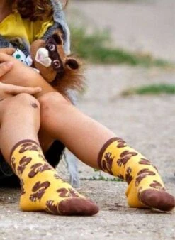 Chaussettes Coton Oranges Écureuils -Le Bar à Chaussettes VFB 6 ad682ca6 cb3f 4ca0 ae20 6511b2ccf991