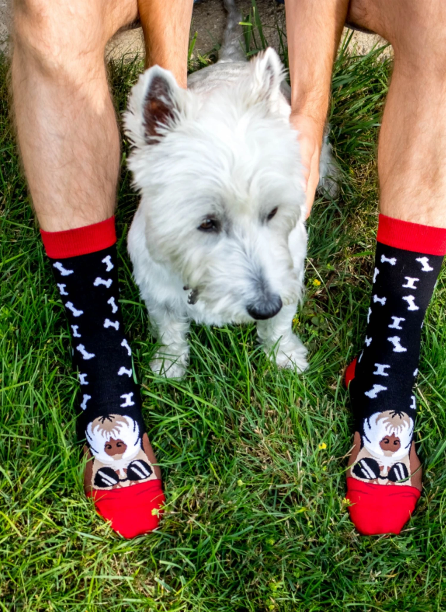 Chaussettes Arty Fox Terrier 2 Chaussettes Arty Fox Terrier – Image 2
