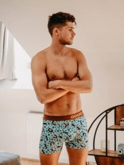 Boxer Homme Teckel 12 Boxer Homme Teckel -Le Bar à Chaussettes le bar a chaussettes boxer homme teckel 52038780420429