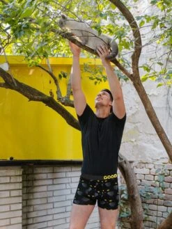 Boxer Homme Les Yeux De Chat 13 Boxer Homme Les Yeux De Chat -Le Bar à Chaussettes le bar a chaussettes boxer homme yeux de chat 52038870991181