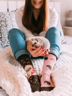 Chaussettes Hérissons -Le Bar à Chaussettes le bar a chaussettes chaussettes herisson 37637502927089