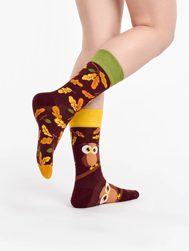 Chaussettes Hibou Curieux 3 Chaussettes Hibou Curieux – Image 3