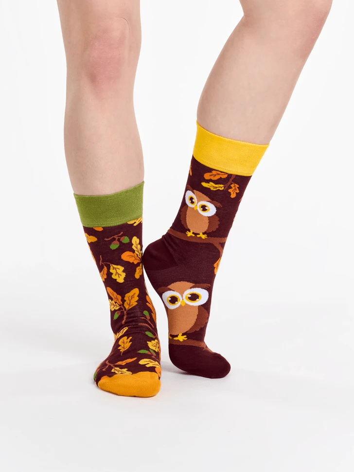 Chaussettes Hibou Curieux 2 Chaussettes Hibou Curieux – Image 2