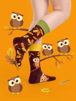 Chaussettes Hibou Curieux 8 Chaussettes Hibou Curieux -Le Bar à Chaussettes le bar a chaussettes chaussettes hibou curieux 51771586052429