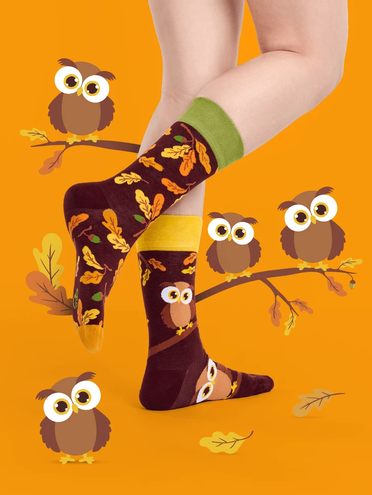 Chaussettes Hibou Curieux 4 Chaussettes Hibou Curieux – Image 4