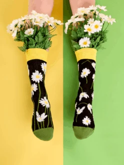 Chaussettes Marguerites Dans La Nuit -Le Bar à Chaussettes le bar a chaussettes chaussettes marguerites dans la nuit 51325244047693