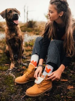 Chaussettes Renards -Le Bar à Chaussettes le bar a chaussettes chaussettes oringinales renard 37876736098545