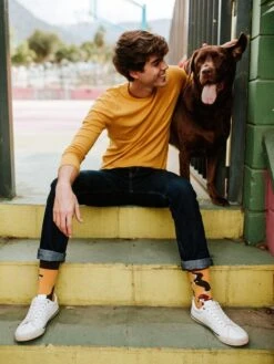 Chaussettes Teckels -Le Bar à Chaussettes le bar a chaussettes chaussettes teckels 51048823488845