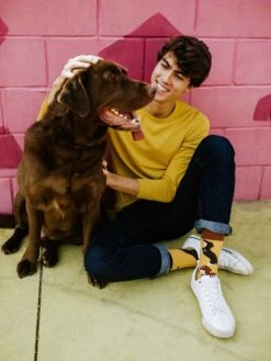 Chaussettes Teckels -Le Bar à Chaussettes le bar a chaussettes chaussettes teckels 51048823685453