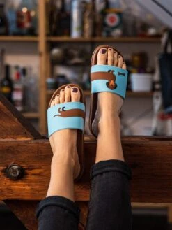 Claquettes Teckel -Le Bar à Chaussettes le bar a chaussettes claquettes teckel 51155557122381