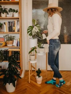 Socquettes Camomille -Le Bar à Chaussettes le bar a chaussettes socquettes camomille 38606296940785